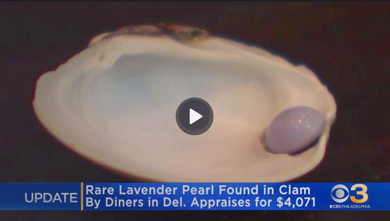 Appraisal for rare lavender pearl found at Delaware restaurant comes back