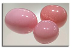 An Unusual Pearl: Coated or Not? Conch Pearls