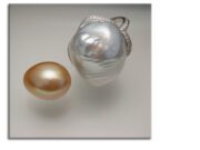 South Seas Cultured Pearls