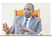 Arusha Gem Centre Set for Sh19 Billion Expansion