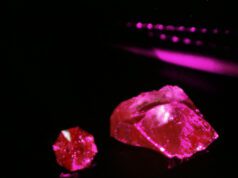 The Dragon Garnet
