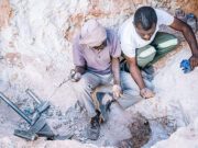 90% of Namibian gemstones still exported rough