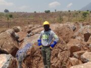 Sodalite from Malawi: a New Discovery