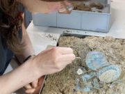 Bronze Age Women’s Jewelry Set Discovered