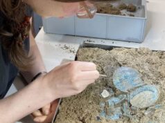 Bronze Age Women’s Jewelry Set Discovered