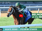 Agate Road WINS the Pilgrim Stakes