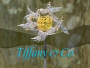 “If you get bored by the Tiffany Diamond, there’s no hope,” says Tiffany’s Chief Gemologist Victoria Reynolds