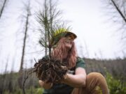This year’s Recipient of the Columbia Gem House Pebbles to Pines Fundraiser: The National Forest Foundation