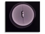 Tracing Pearls from Oyster to Counter: RFID Tags Inside Cultured Pearls. GIA’s Pearl Reports Include Traceability Info. Can it do More?