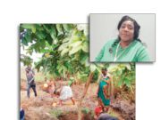 Tuberculosis and Silicosis: Deadly Mining Conditions Plague Artisanal Miners