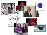 The 2024 Roskin Gem News Report’s Top 25!