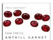 Anthill Garnet: The Pyrope Unearthed with the Help of Insects!