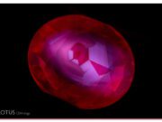 Into the Stone: Photomicrography from E. Billie Hughes Close-up of a vibrant red gemstone with intricate facets.