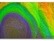 Scoping It Out: Photomicrography from Melissa Scarani Colorful concentric rings resembling a topographic or heat map.