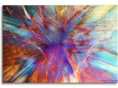 Photomicrography: Images from Within by Sammantha Maclachlan
