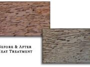Into the Stone: Photomicrography from E. Billie Hughes Close-up images showing wood before and after treatment with improved texture.