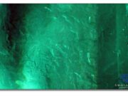 Photomicrography: Images from Within, by Sammantha Maclachlan