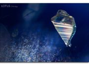 Into the Stone: Photomicrography from E. Billie Hughes