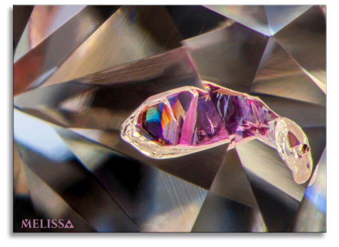 Melissa Garnet in Diamond