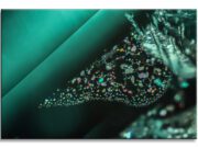 Gem-A’s Photographer of the Year Competition! And the Winners are ….