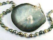 Idar-Oberstein: German Gemmological Conference Focuses on Pearls
