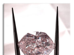 Scott Sucher and the Hortensia: French Crown Jewel Replica Cut in “Grown Diamond”