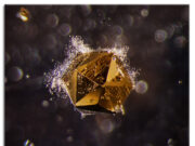 Into the Stone: Photomicrography from E. Billie Hughes