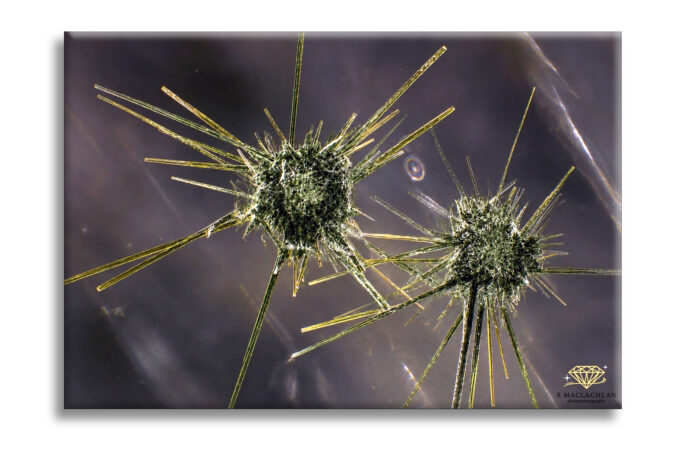 actinolite - Sammantha
