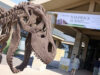 Hard Rock Summit & the Denver Gem and Mineral Show: Cara & Bear Williams Give Us the Walk-About